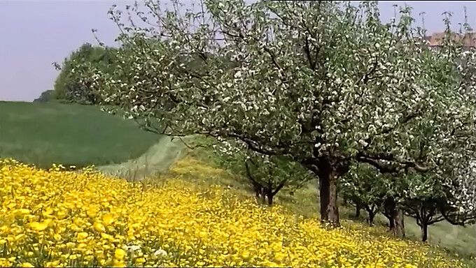 Filme Completo Vintage De Adolescente Comendo Buceta E Se Masturbando