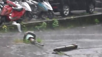 Pertunjukan Ramah Gadis Polio Amatur