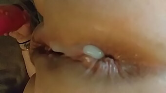 Sammlung Von Amateur Anal Creampies Mit Pov Und Bbws