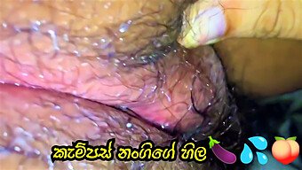 Big Clit Babe Gets Pounded On College Campus In Sri Lankan Amateur Video