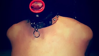 Bdsm-Session Mit Ballbusting, Peitschen Und Bondage