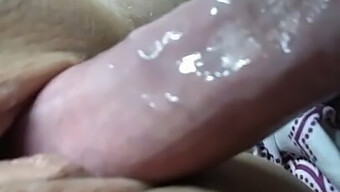 Wet And Wild Cock And Pussy Action